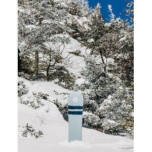 Burton Family Tree First Cut Snowboard