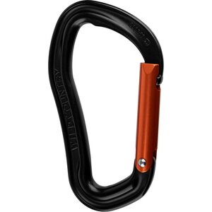 Wild Country Electron Straight Gate