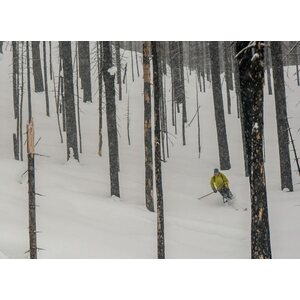 Altai Hok 145 + Bindings