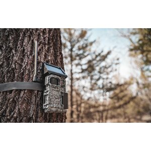 Spypoint Link Micro S