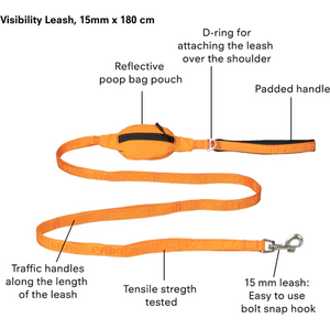 Paikka Visibility Leash for Dogs