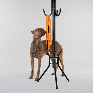 Paikka Visibility Leash for Dogs