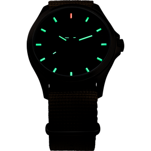 Traser P67 Officer Pro GunMetal Khaki