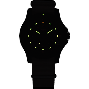 Traser P66 Sand