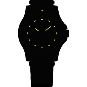 Traser P66 Shade