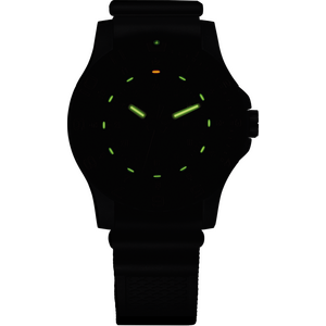 Traser P66 Type 6 MIL-G