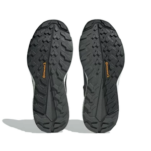 Adidas Terrex Free Hiker 2 GTX Womens