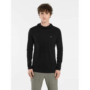 Arc'teryx Ionia Merino Wool Hoody Mens