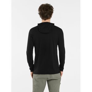 Arc'teryx Ionia Merino Wool Hoody Mens