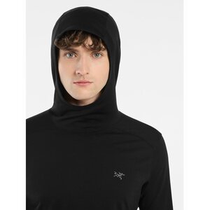 Arc'teryx Ionia Merino Wool Hoody Mens