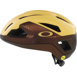 Oakley ARO3 Endurance MIPS