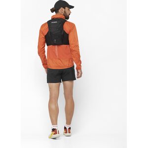 Salomon Cross 5" Shorts Mens