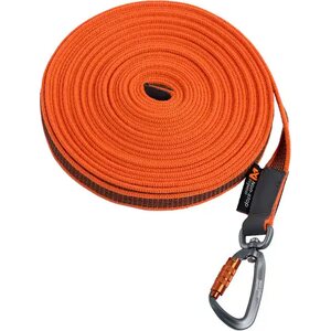 Tracking leash