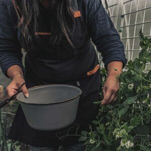 Barebones Chef Grilling Apron