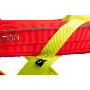 Non-stop Dogwear Freemotion Harness 5.0 Limited Edition