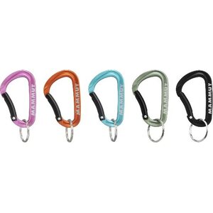 Mammut Mini Carabiner Classic Keylock S