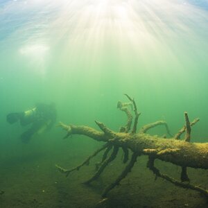 Sukelluskoulu Aalto PRIVATE Guided Shore Snorkeling