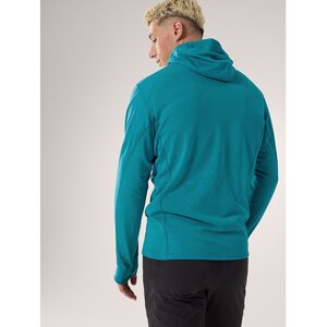 Arc'teryx Delta Hybrid Hoody Mens