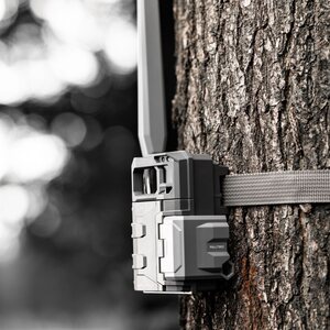 Spypoint Link Micro 2