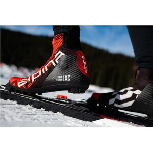 Alpina Elite Pro Classic