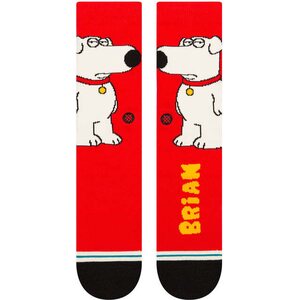 Stance The Dog