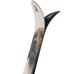 Åsnes Kongsvold Hunter BC (B-Grade)