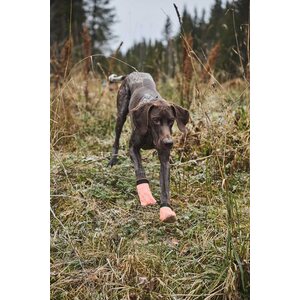 Non-stop Dogwear Protector Light Socks (4 pcs)