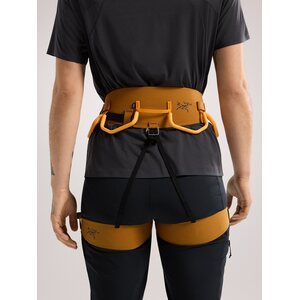 Arc'teryx AR-385a Womens