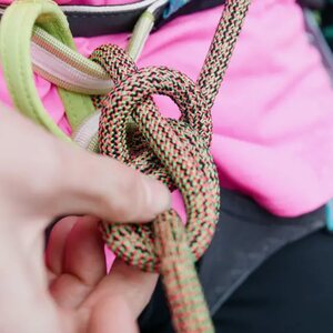 Edelrid Eagle Lite Protect Pro Dry 9.5mm