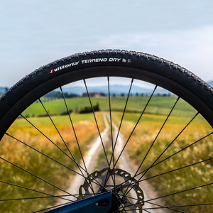 Vittoria Rengas Gravel Terreno Dry 37-622 Fold 2C