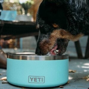 Yeti Boomer 4 Dog Bowl