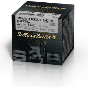 .300 Blackout cartridges