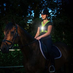 Bee Safe Led Harness usb safety vest
