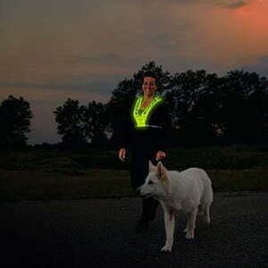 Bee Safe Led Vest USB -huomioliivi