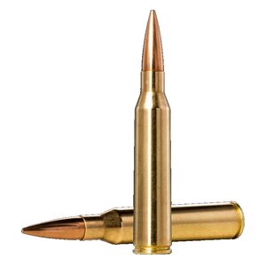 .338 Lapua Magnum patruunat