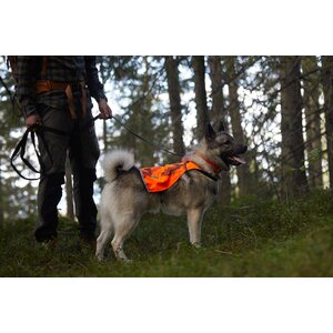 Non-stop Dogwear Camo Cover
