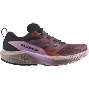 Salomon Sense Ride 5 GTX Womens