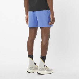 Salomon SHKout Easy 5" Shorts Mens