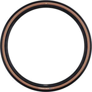 Schwalbe G-ONE RS PRO V-Guard Evolution Folding Tire 700c
