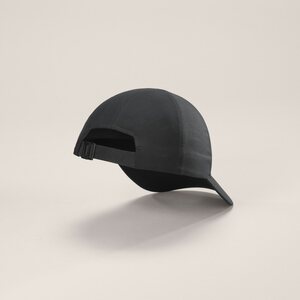 Arc'teryx Bird Word Cap