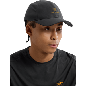 Arc'teryx Bird Word Cap