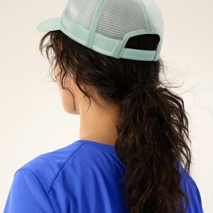Arc'teryx Bird Word Trucker Hat