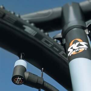 SKS Air-X-Plorer Clik Valve 10.0 10 bar/144 psi