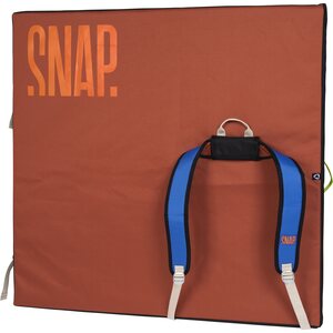 SNAP One
