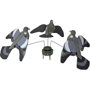 5etta Pigeon Carousel Compact