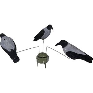 5etta Pigeon Carousel Compact