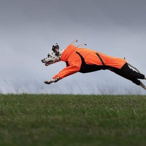 Non-stop Dogwear Fjord Overall Raincoat