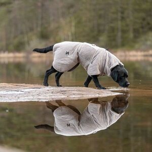 Non-stop Dogwear Drying Coat