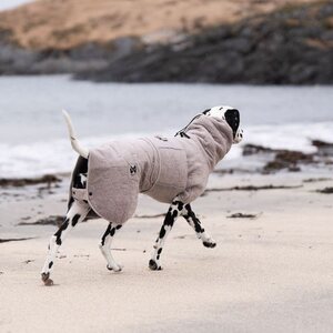 Non-stop Dogwear Drying Coat