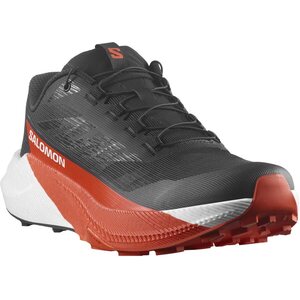 Salomon Pulsar Mens
